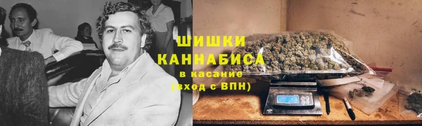 mdpv Новозыбков