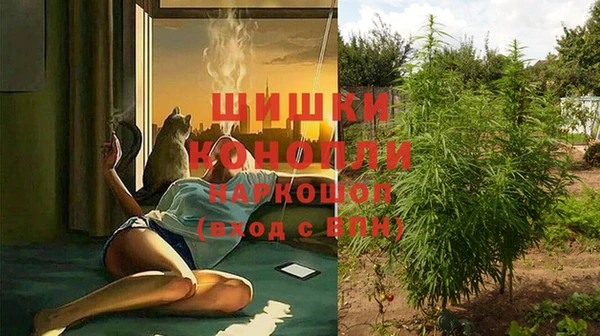 PSILOCYBIN Новодвинск