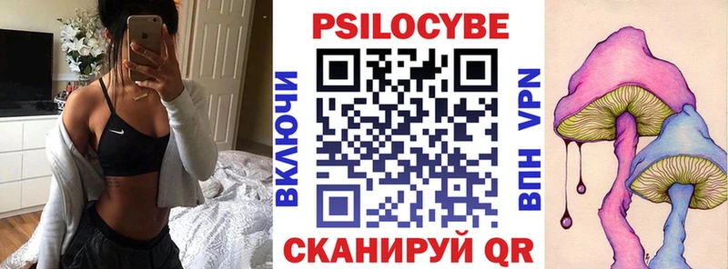 Псилоцибиновые грибы Cubensis  цены наркотик  Гурьевск 