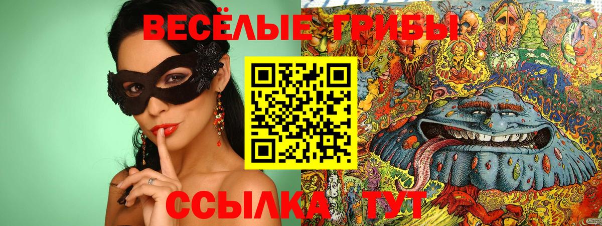 Галлюциногенные грибы мухоморы Гурьевск