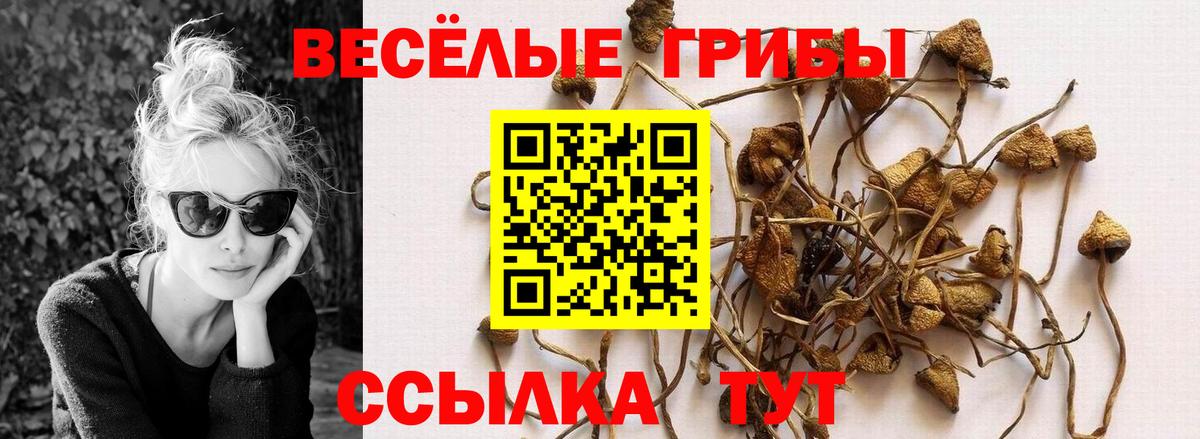 Галлюциногенные грибы Psilocybine cubensis  Галлюциногенные грибы Psilocybe  Гурьевск  Вход с VPN 